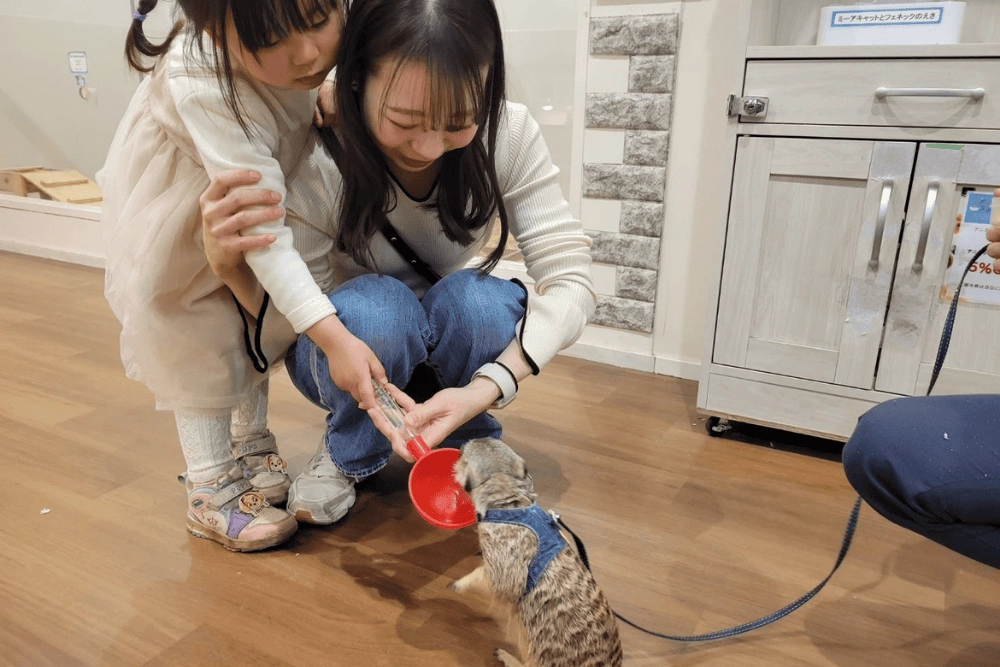 一日満喫!ショッピングをしながら動物とふれあう