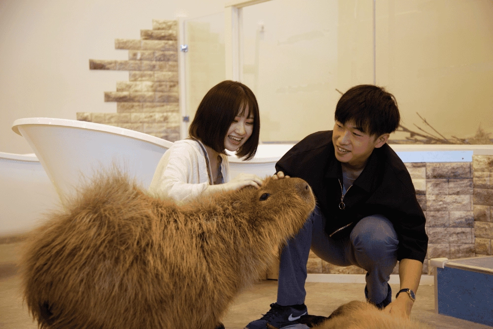 大人気!ゼロ距離でみて、ふれられる動物たち